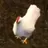 _Chicken_