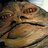 Goddess Jabba