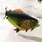 Fearless Fish