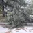 BackyardTornado