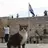 The Feline Solution 2