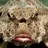 bigbizbats