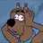 rara raggy