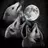 Hiss at the Moon