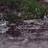 Rain From The Ground