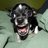 TheMeanDoggie