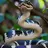 Common Krait
