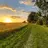 Countryside