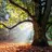 Hanging Tree