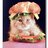 coldcatsammich