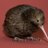 TinyKiwi