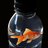Fish Bottle