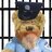 Panboys Probation Officer