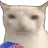 ProxyAnon