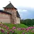 Veliky