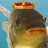 KingPoisson