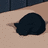 lechatnoir