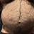 Mike_Israeltel
