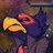 Falco