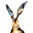 wabbits