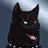 Darkhusky88