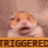 I liek fr0gs