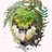 kakapo