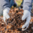 Mulch