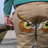 strigiformes