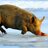 Hog On Ice