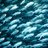 School of Fish