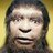 Homo neanderthalensis