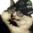 Vallix