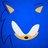JaSonic_Sonic-lover