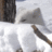 Arctic Fox