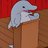 Dolphins Rise Up