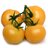 Orange Tomato