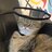 Alpo the cat
