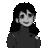 alanshaffer3293