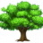 Loltree