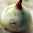 Amber's Onion
