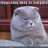 PittyKitty
