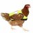 ServiceChicken