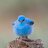 Twitter Hate Mob