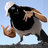 Magpie