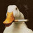 GooseDisrupt