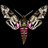 GriffithHawkmoth