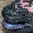 heloderma_suspectum