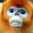 Great Monkey King