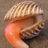 cockle